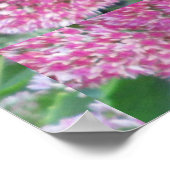 Poster District de Flower (Coin)