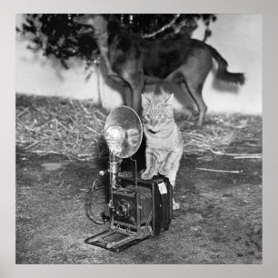 Poster Dites le cataire : 1936