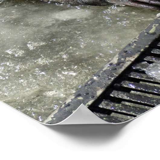 Poster Diver US Navy (Coin)