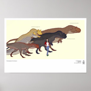 Poster Diverses espèces de Ceratosaurus