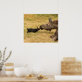 Poster Diversité (Cuisine)