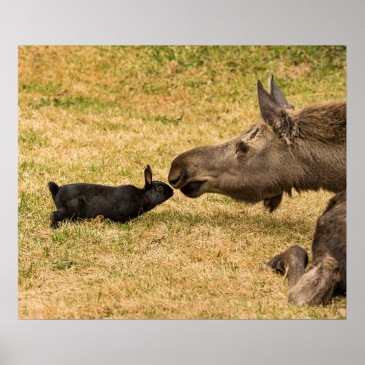 Poster Diversité (Devant)
