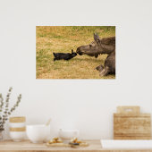 Poster Diversité (Cuisine)