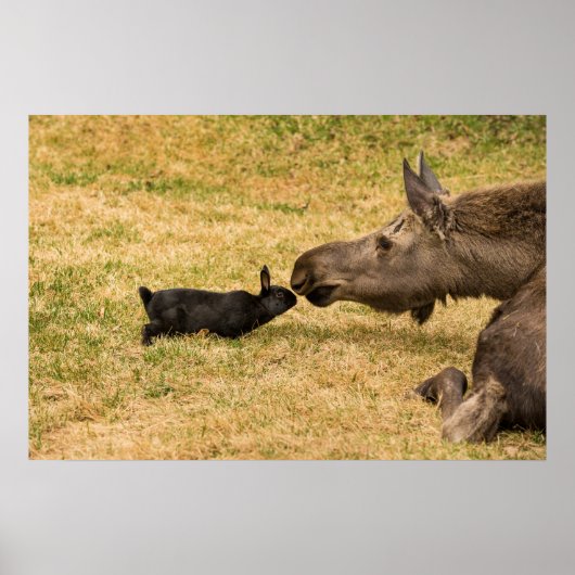 Poster Diversité (Devant)