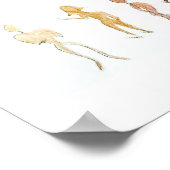 Poster Diversité (Coin)