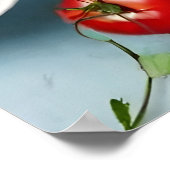 Poster Diversité de la nourriture (Coin)