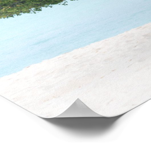 Poster Divi Divi Tree (Coin)