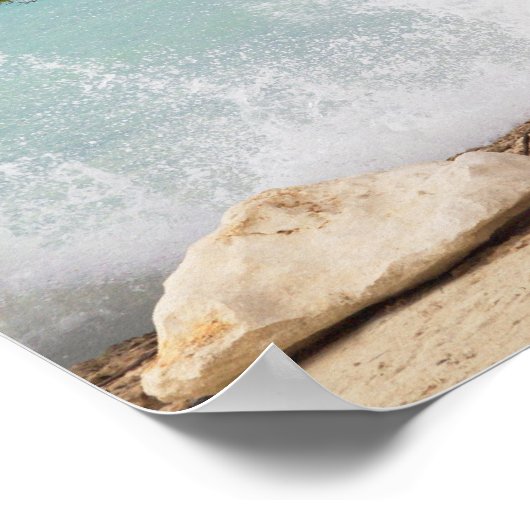 Poster Divi Divi Tree, Eagle Beach, Aruba, Caraïbes (Coin)