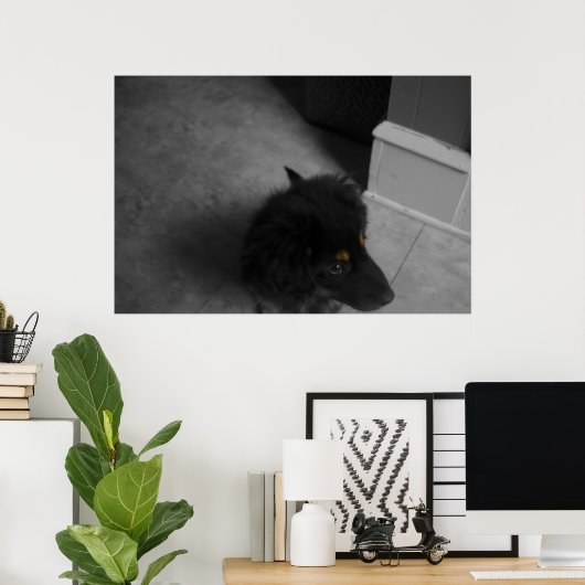 Poster Divo B&W (Bureau à domicile)