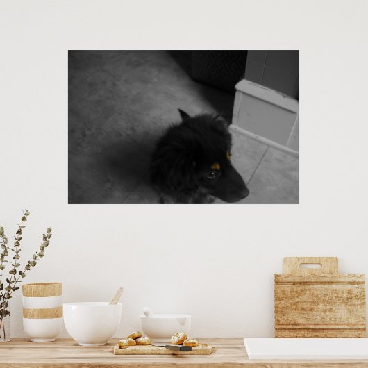 Poster Divo B&W (Cuisine)