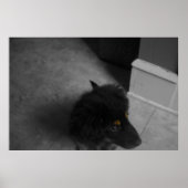 Poster Divo B&W (Devant)