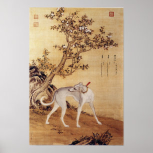 Poster Dix Chiens primés - Cangshuiqiu(lévrier chinois)