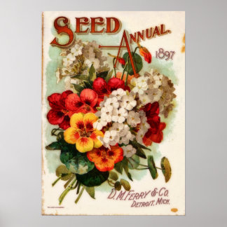 Poster DM Ferry Catalogue Fleur Vintage Annonce