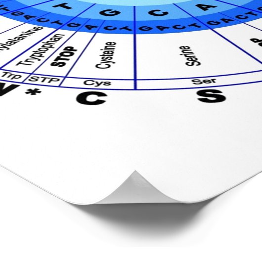 Poster DNA Genetic Code Circle Gene Codon Amino Acid (Coin)