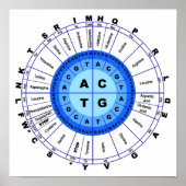 Poster DNA Genetic Code Circle Gene Codon Amino Acid (Devant)