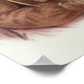 Poster Do-Hon-Go, une femme sage (Coin)