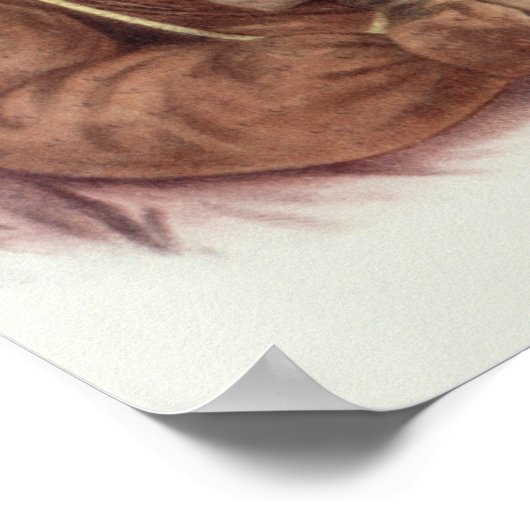 Poster Do-Hon-Go, une femme sage (Coin)