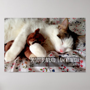 Poster Do Not Be Afraid Cat Sleeping With Teddy Bear