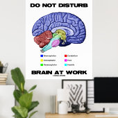 Poster Do Not Disturb Brain At Work (Bureau à domicile)