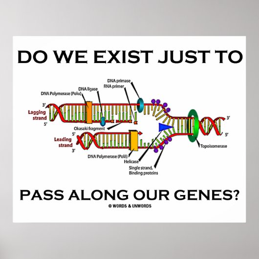 Poster Do We Exist Just To Pass Along Our Genes ? (Devant)