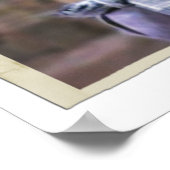 Poster Dobby 1 (Coin)