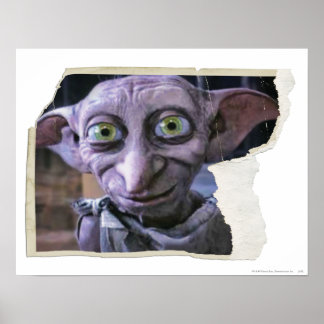 Poster Dobby 1