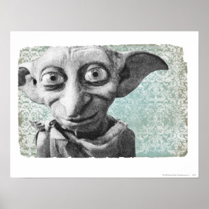 Poster Dobby 4
