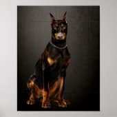 Poster Doberman (Devant)
