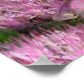 Poster Doberman Et Fleurs Roses Imaginaire Chien Art (Coin)