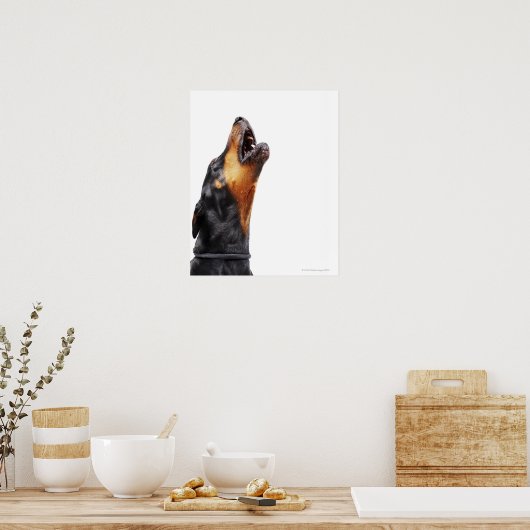 Poster Doberman hurle (Cuisine)