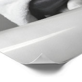 Poster Doberman in Bathrobe, Funny Bathroom Art (Coin)