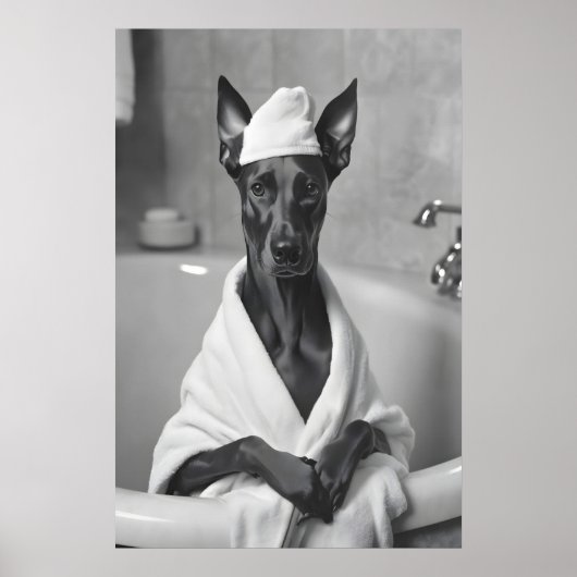 Poster Doberman in Bathrobe, Funny Bathroom Art (Devant)
