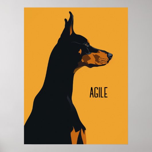 Poster Doberman jaune (Devant)