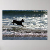 Poster Doberman - Noir - Leap Océan (Devant)
