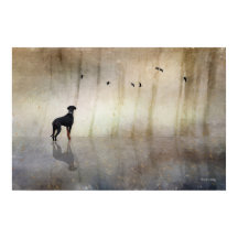 Doberman Photo Art - Réflexions d'un coeur tranqui