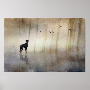 Poster Doberman Photo Art - Réflexions d'un coeur tranqui