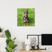 Poster Doberman Pinscher (Bureau à domicile)