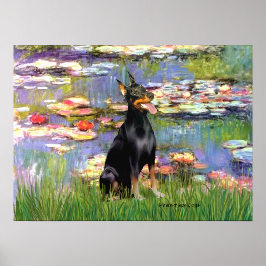 Poster Doberman Pinscher1 - Lys 2 (Devant)