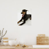 Poster Doberman Pinscher 2 (Cuisine)