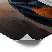 Poster Doberman Pinscher In Chefs Hat Poster, Funny Pet (Coin)