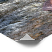 Poster Doberman Pinscher River Tree Imaginaire Art (Coin)