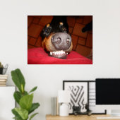 POSTER DOBERMAN SOURIANT (Bureau à domicile)
