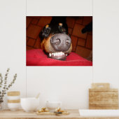 POSTER DOBERMAN SOURIANT (Cuisine)