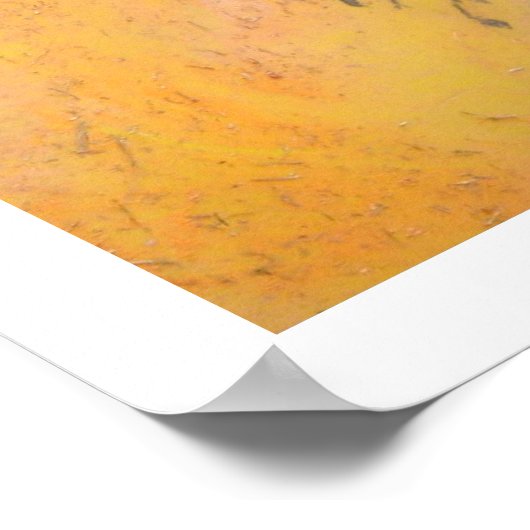 Poster Doc Raiders Ref Pic (Coin)