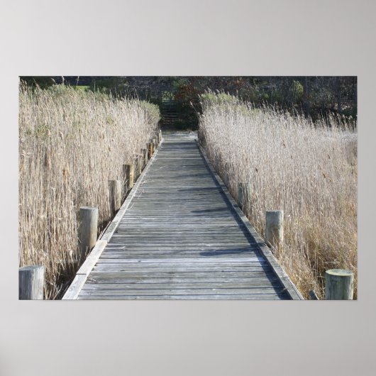 Poster Dock (Devant)