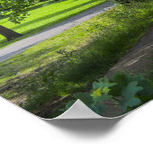 Poster Dock Feeder Canal, Bute Park, Cardiff, Pays de Gal (Coin)