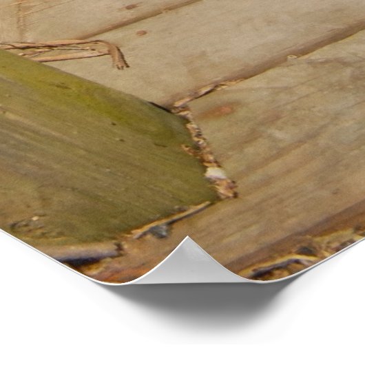 Poster dock privé (Coin)