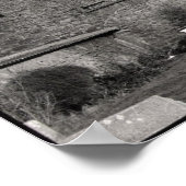 Poster Dock sec en Dorset (Coin)