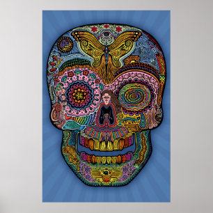 Poster Dod Sk511 -couleur