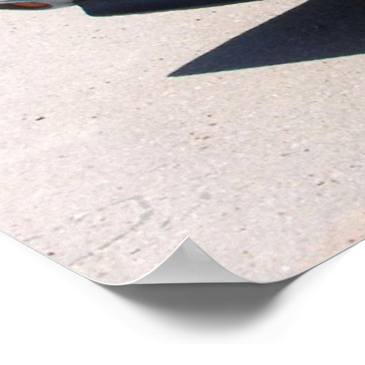 Poster Dodge Challenger 1970 (Coin)